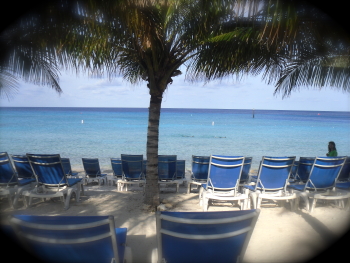Bahamas palme meer strand